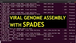 Viral genome assembly with spades