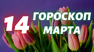 Гороскоп на 14 марта Гороскоп на завтра Гороскоп на сегодня