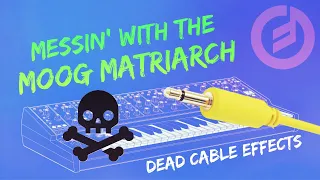 Messin' with the Moog Matriarch: Dead Cable Effects