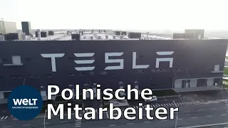 TESLA IN GRÜNHEIDE: Tesla will auch polnische Mitarbeiter werben