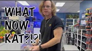 NEW SEGMENTS? AND HUGE FISH! | WEEKLY UPDATE #fishstore #aquarium #lfs #fishybusiness #fish