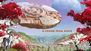 Infected Mushroom & Bliss - A Cookie From Space