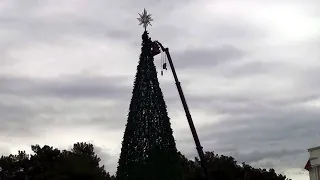 В Геленджике установили главную елку города 15 декабря 2023