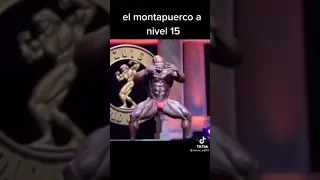 Cartas de nivel 15 compilación Clash royale versión meme mamadisimas