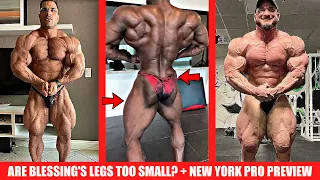 Blessing 6 Days Out, Are his Legs Too Small? + Hassan to Win New York? + Hunter 12 Weeks Out + MORE