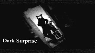 Dark Surprise  -Animation BGM