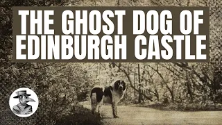 The Ghost Dog of Edinburgh Castle -  Podcast Highlights