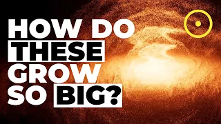 What Makes Supermassive Black Holes?