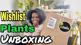 Wishlist plants unboxing & haul from ILLExotics || Ordering plants online 2023