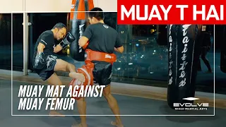 Muay Thai Training Series: Muay Mat | Muay Mat Against Muay Femur