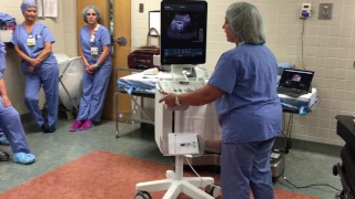 BK Ultrasound Demo