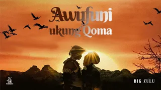 Big Zulu - Awufuni Ukung’Qoma (Official Audio)
