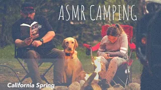 California Spring 4Runner Camping - ASMR (4K) - Short Film