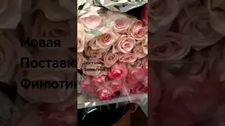 7 937 656 56 77 Самара Кошелев Финютина 45 салон цветов "Дари красиво"