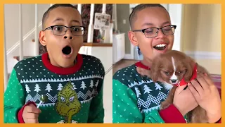 NEW PUPPY SURPRISE COMPILATION 2024 | WHOLESOME SURPRISE MOMENTS