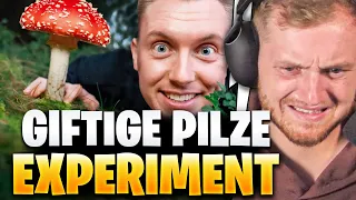 😨🍄ER ISST GIFTIGE FLIEGENPILZE! - Tomatolix REAKTION | Trymacs Stream Highlights