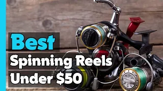 ✅Top 5: Best Spinning Reels Under $50 In 2023 🎣 [ Amazon Budget Spinning Reels ]