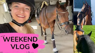 Hannah REITET das ERSTE MAL INKA 🤩 | Herbstausritt 🍁 | Marina und die Ponys