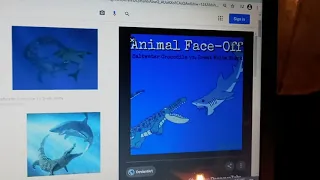 animal face off episode 1 saltwater crocodile vs great white shark