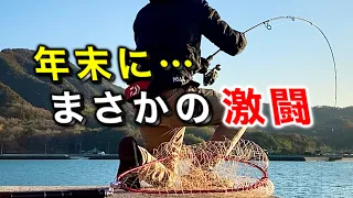 年末の釣り納めで突然ルアーロッドが悲鳴を上げた【ガチンコファイト】堤防ライトショアジギング