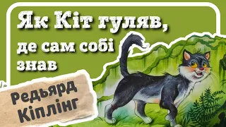 ЯК КІТ ГУЛЯВ, ДЕ САМ СОБІ ЗНАВ (Редьярд Кіплінг) - #АУДІОКАЗКА