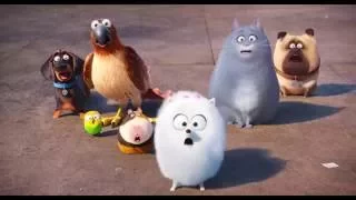 Тайная жизнь домашних животных Мультики The Secret Life of Pets Кролик Снежок