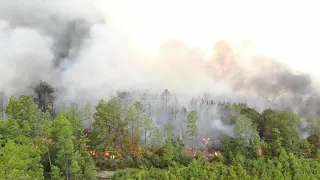 Drone footage of Tiger Island Fire near Graybow Road (courtesy LSP)