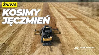 Żniwa z AGROHANDEL! 🔥 Kosimy JĘCZMIEŃ🔥New Holland CR 9080