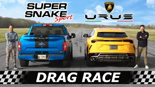 Lamborghini Urus vs 770HP Shelby F-150 Super Snake Sport // DRAG & ROLL RACE