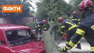 Буревій та злива у Вінниці та Хмельницькому: на жінку впало дерево, вулиці затоплені