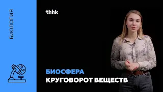 Биосфера. Круговорот веществ | Биология