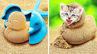 🐱 SECRET HACKS FOR PETS OWNERS 🐶 Save This Tiny Cat! Best Pet Gadgets By Yay Time!