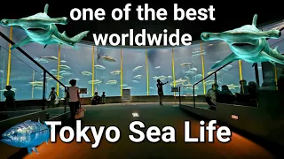 与我们一起参观世界上最好的水族馆之一。东京 Seelife●葛西临海公园。徒步旅行。4K UHD