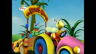 Big bugs band