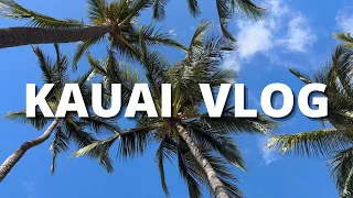 life with derrick: KAUAI HAWAII VLOG // january 2023