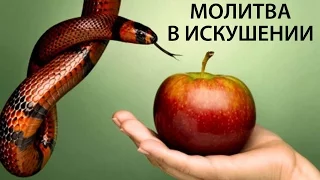 Молитва в искушении. о.Максим Каскун