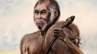 The Extinct Human Dwarf Species of Indonesia