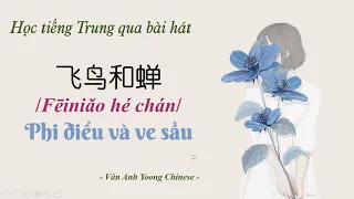 Học tiếng Trung qua bài hát | Phi điểu và ve sầu 飞鸟和蝉