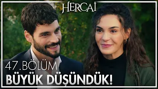 Reyyan ve Miran yeni iş kuruyor!  - Hercai 47. Bölüm