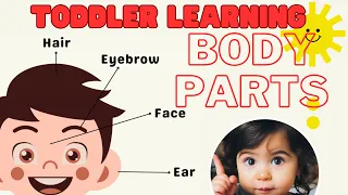 Toddler Learning: Explore Our Amazing Body Parts👂👃🦶Best Toddler Educational Video | Fun Learning