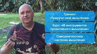 Как развивать «мышление о мышлении»