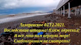 Последствия шторма! Пляж сместился! Все что нам вернули и дельфин! 02.12.2021.🌴ЛАЗАРЕВСКОЕ СЕГОДНЯ🌴