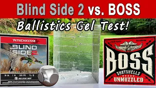 Winchester Blind Side 2 vs. BOSS Bismuth | Ballistics Gel & Pattern Test