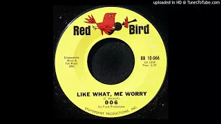 006 - Like What, Me Worry - 1966 Garage Rock