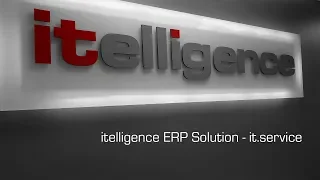 ERP Add-On Solution - it.service