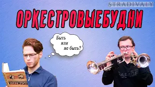 Оркестровыебудни