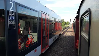 Doppeleinfahrt / Harzer Schmalspurbahn / Selketalbahn vs Abellio RE 11 nach Magdeburg. (26.05.2024)