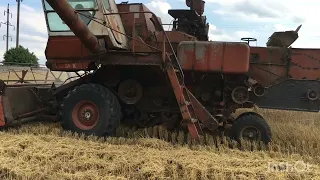 Нива СК-5 з подрібнювачем соломи