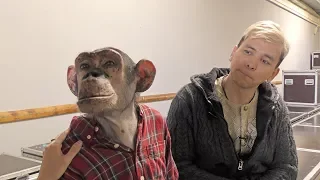 Mickey the chimp and the trainer Murad Hidirov: guests of Izhevsk circus festival