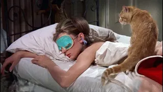 😺 Доброе утро через три.. два.. один! 🐈 Смешное видео с котами и котятами для хорошего настроения! 😸